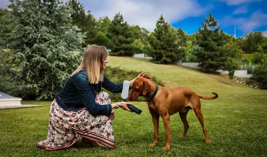 S�ndor Hotel P�cs - Kedvezm�nyes �r csal�dok r�sz�re reggelivel (1 �jt�l)