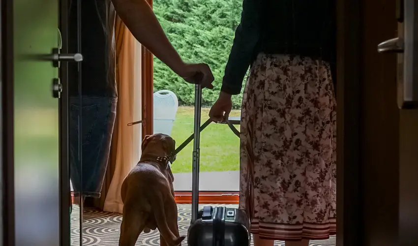 S�ndor Hotel P�cs - Kedvezm�nyes �r csal�dok r�sz�re reggelivel (1 �jt�l)