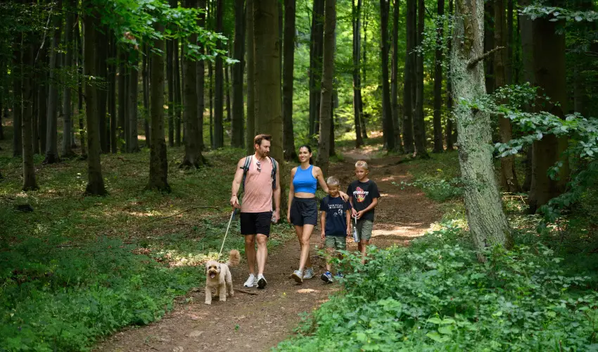 Hotel Nard Mtraszentimre - Ngy jszaks r flpanzival