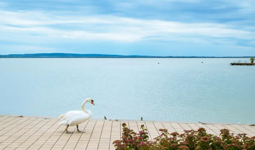 Hotel Ovit Keszthely - Kedvezm�nyes �r csal�dok r�sz�reak reggelis ell�t�ssal (1 �jt�l)