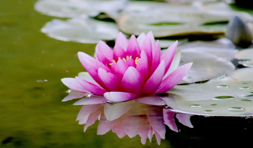 Hotel Ovit Keszthely - Kedvezm�nyes �r csal�dok r�sz�reak reggelis ell�t�ssal (1 �jt�l)