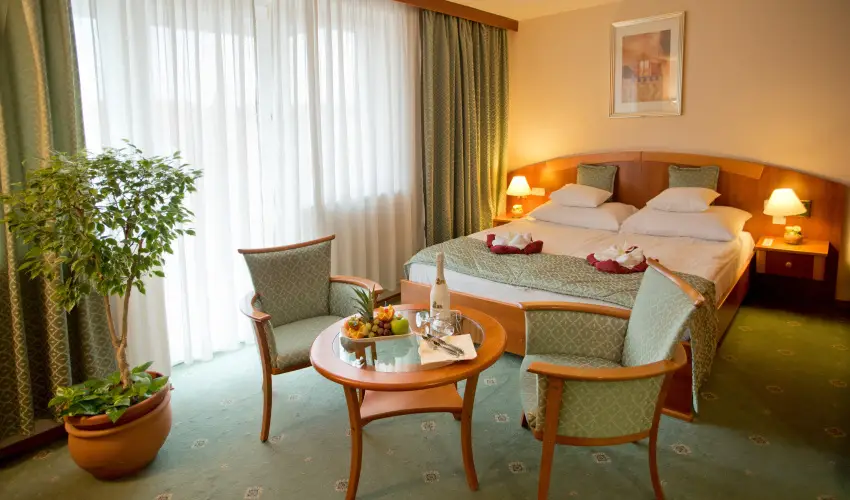 Palace Hotel  Hvz - Kedvezmnyes r csaldok rszre teljes elltssal (1 jtl)