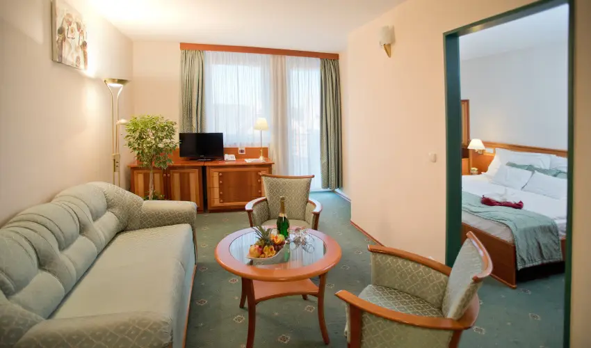 Palace Hotel  Hvz - Kedvezmnyes r csaldok rszre teljes elltssal (1 jtl)