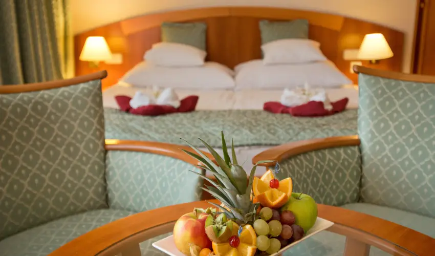 Palace Hotel  Hvz - Kedvezmnyes r csaldok rszre teljes elltssal (1 jtl)