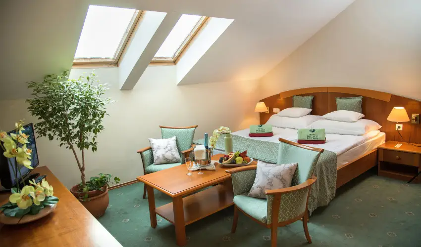 Palace Hotel  Hvz - Kedvezmnyes r csaldok rszre teljes elltssal (1 jtl)