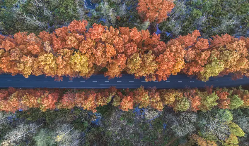 Hunguest Hotel Panorma Hvz - Legjobb r (1 jtl)