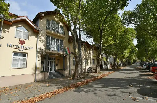 Hotel Plat�n Sz�kesfeh�rv�r - Kedvezm�nyes �r csal�dok r�sz�reak reggelis ell�t�ssal (1 �jt�l)
