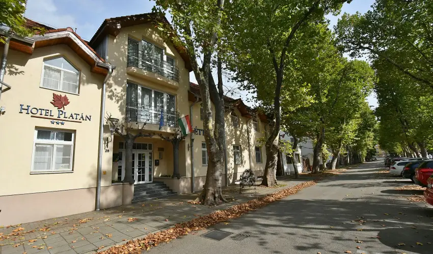Hotel Plat�n Sz�kesfeh�rv�r Sz�kesfeh�rv�r - Kedvezm�nyes �r csal�dok r�sz�reak �nell�t�ssal (1 �jt�l)