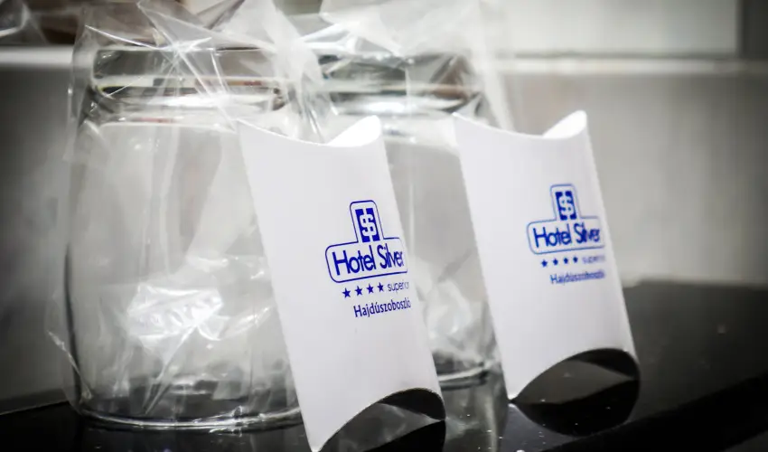 Silver Hotel Hajdszoboszl - Silver napok flpanzival (2-3 j)