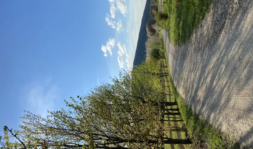 Hotel Sz�palma Porva-Sz�palmapuszta - H�tv�g�k a Bakonyban (min. 2 �j)