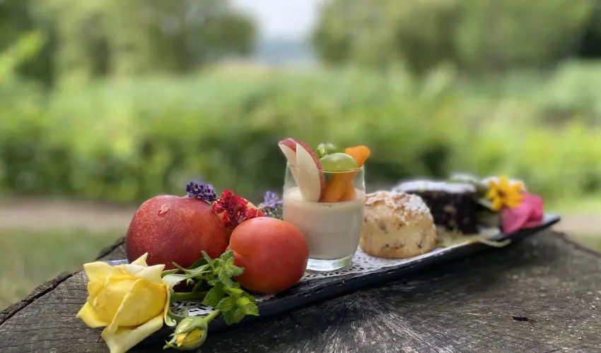 Hotel Sz�palma Porva-Sz�palmapuszta - H�tv�g�k a Bakonyban (min. 2 �j)