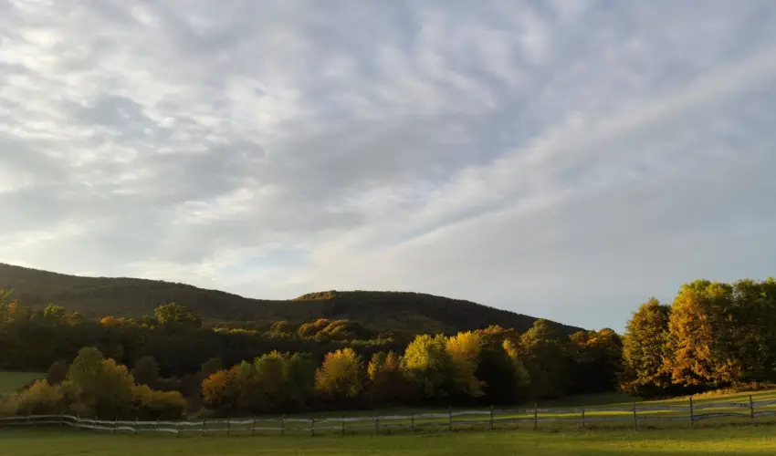 Hotel Sz�palma Porva-Sz�palmapuszta - H�tv�g�k a Bakonyban (min. 2 �j)