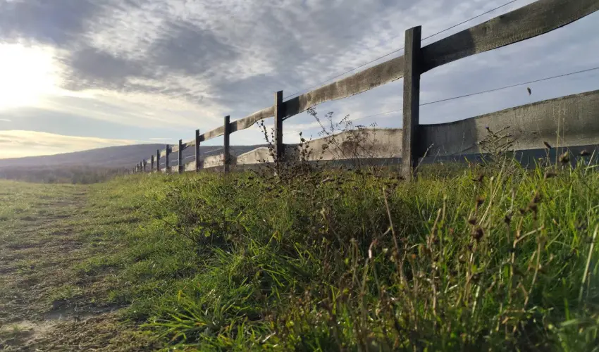 Hotel Sz�palma Porva-Sz�palmapuszta - H�tv�g�k a Bakonyban (min. 2 �j)