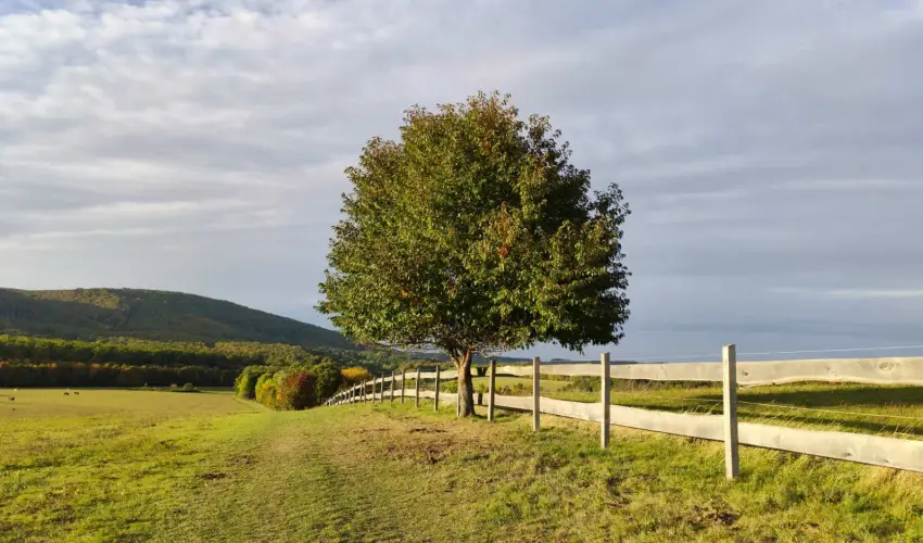 Hotel Sz�palma Porva-Sz�palmapuszta - H�tv�g�k a Bakonyban (min. 2 �j)