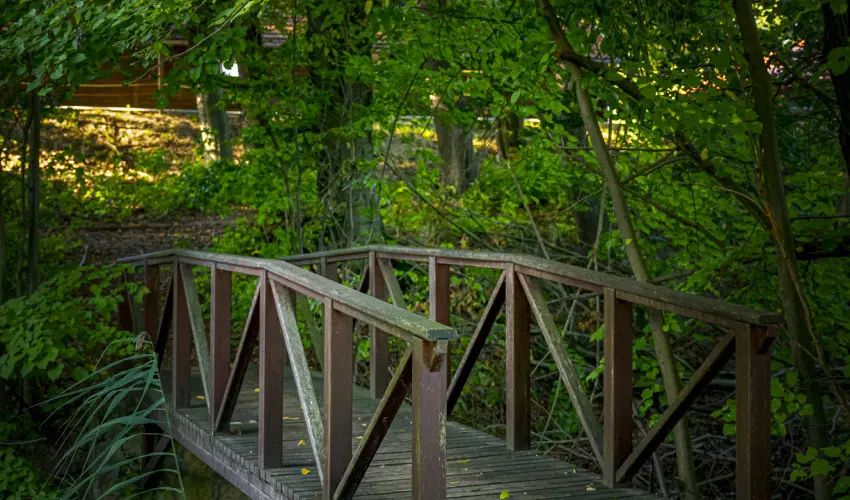 Hotel Sz�palma Porva-Sz�palmapuszta - H�tv�g�k a Bakonyban (min. 2 �j)