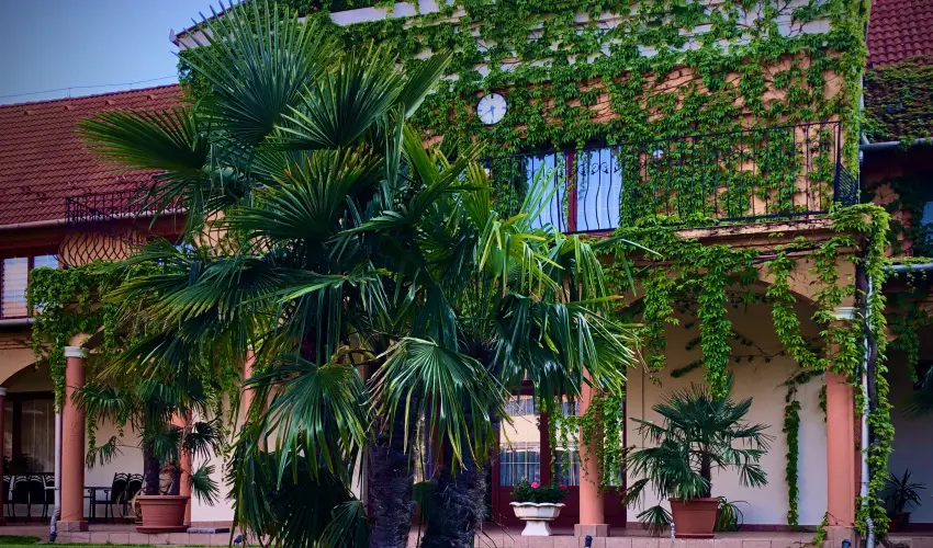 Hotel Vinum Wellness s Konferencia Hotel Kiskrs - Legjobb r (1 jtl)