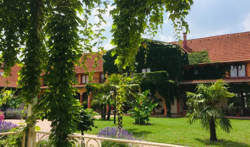 Hotel Vinum Wellness s Konferencia Hotel Kiskrs - Legjobb r (1 jtl)