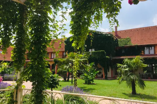 Hotel Vinum Wellness �s Konferencia Hotel - Kedvezm�nyes �r csal�dok r�sz�reak reggelivel (1 �jt�l)