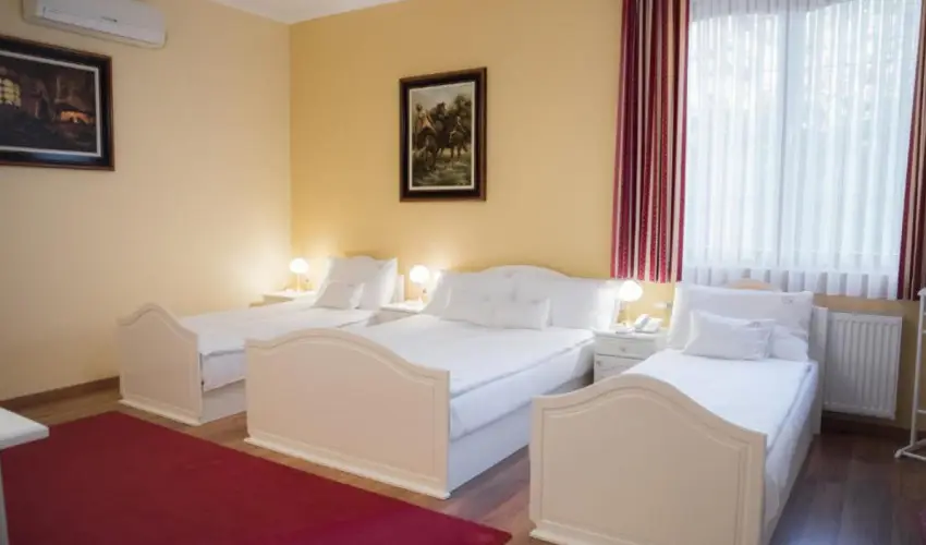 Hotel Vinum Wellness s Konferencia Hotel Kiskrs - Legjobb r (1 jtl)