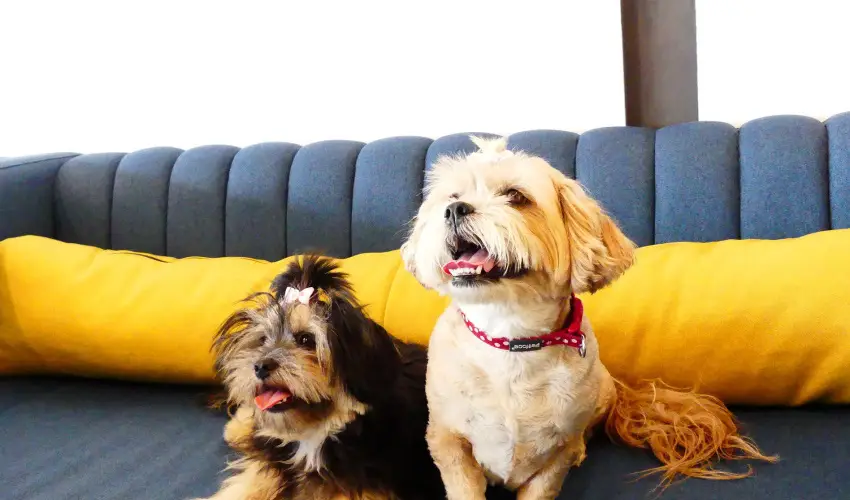 Hotel Yacht Wellness & Business Sifok - Kedvezmnyes r csaldok rszre flpanzival (1 jtl)