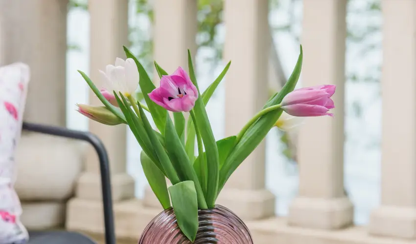 Hotel Anna Villa Balatonfldvr - Fszezoni ajnlat (min. 3 j)