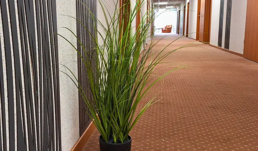 Hungarospa Thermal Hotel Hajdszoboszl - Kedvezmnyes r csaldok rszreak flpanzival, frdbelpvel (1 jtl)