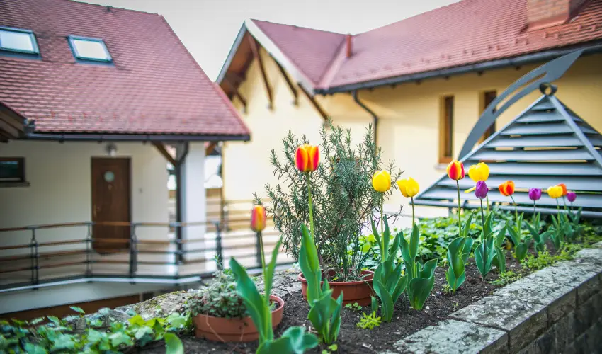 Imola Udvarh�z Eger - Kedvezm�nyes �r csal�dok r�sz�reak reggelis ell�t�ssal (1 �jt�l)