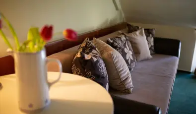 Zsanett Hotel Balatonkeresztr