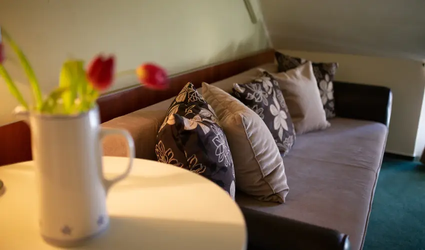 Zsanett Hotel Balatonkeresztr - Pnksd 