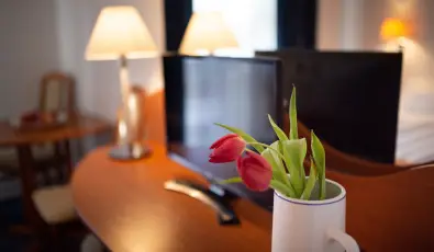 Zsanett Hotel Balatonkeresztr