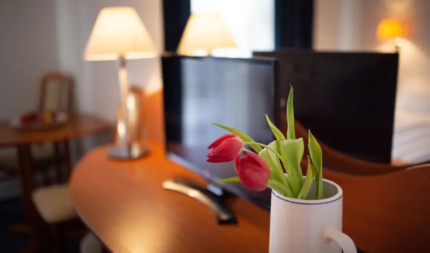 Zsanett Hotel Balatonkeresztr - Pnksd 