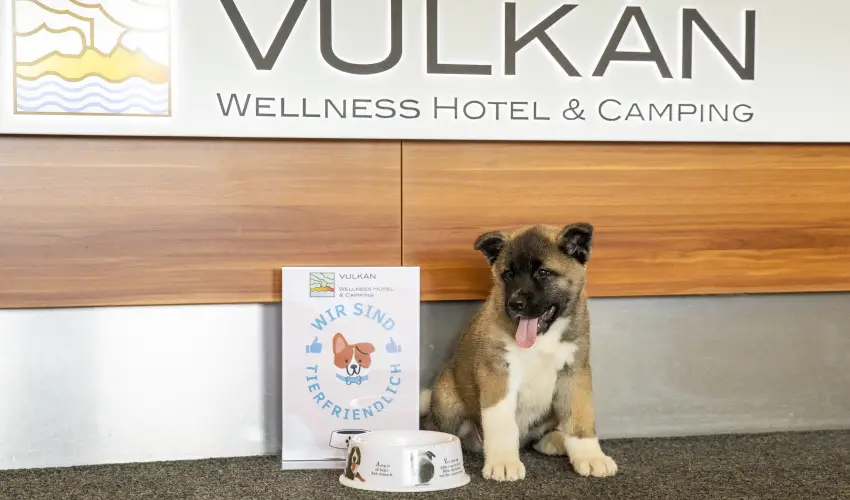 Vulkán Wellness Hotel és Kemping Celldömölk - Pihenés a Vulkán Fürdő Resort mobilházaiban - félpanzióval, fürdőhasználattal (min. 4 éj)