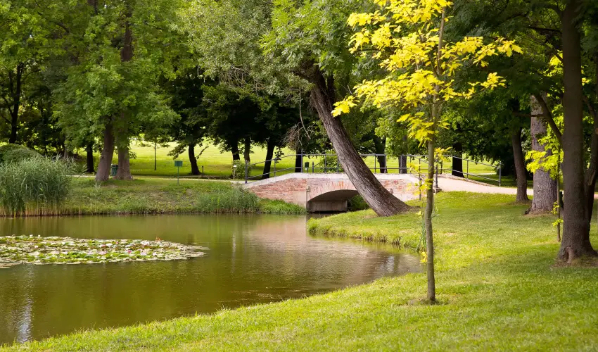 Krolyi Kastly Hotel & Restaurant  Fehrvrcsurg - Napi szobar flpanzival (1 jtl)