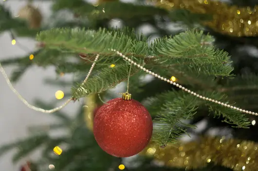 K�t Korona Konferencia & Wellness Hotel - Csal�di Kar�csony �s �nnepek K�z�tt a Balatonon