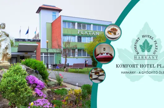Komfort Hotel Plat�n - Kedvezm�nyes �r csal�dok r�sz�reak f�lpanzi�s ell�t�ssal