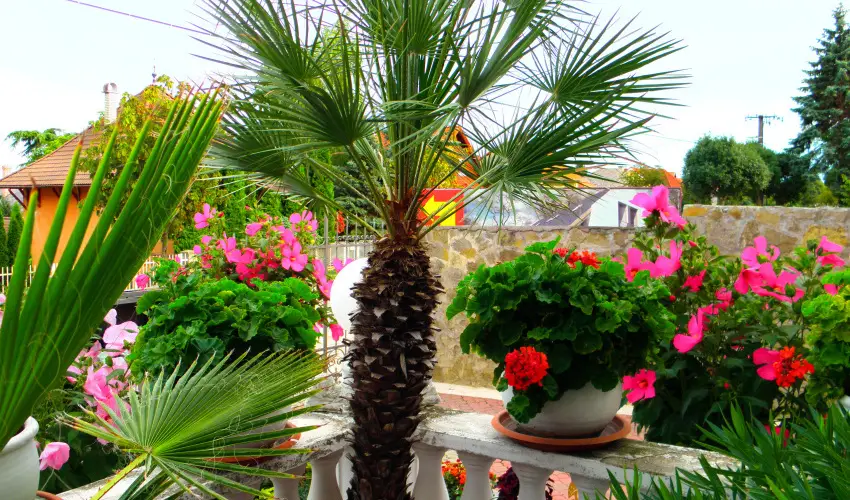 Kristly Apartman Hvz - Kedvezmnyes r csaldok rszreak (1 jtl)