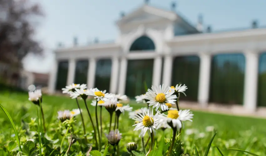 Krist�ly Imperial Hotel Tata - Egy �jszak�s kaland (1 �jszaka)