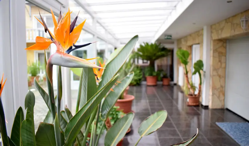 L�dia Hotel Hark�ny Hark�ny - Kedvezm�nyes �r csal�dok r�sz�reak reggelis ell�t�ssal (min. 2 �j)