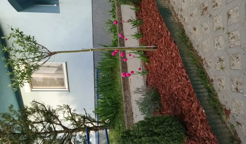 Liliom Apartman Zalakaros - Kedvezmnyes r csaldok rszreak (1 jtl)