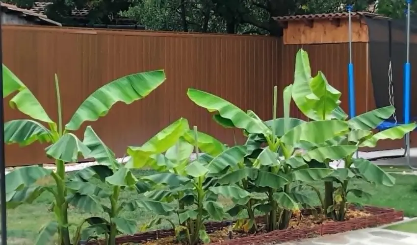 Lilla Apartmanhzak Szilvsvrad - Kedvezmnyes r csaldok rszreak (1 jtl)