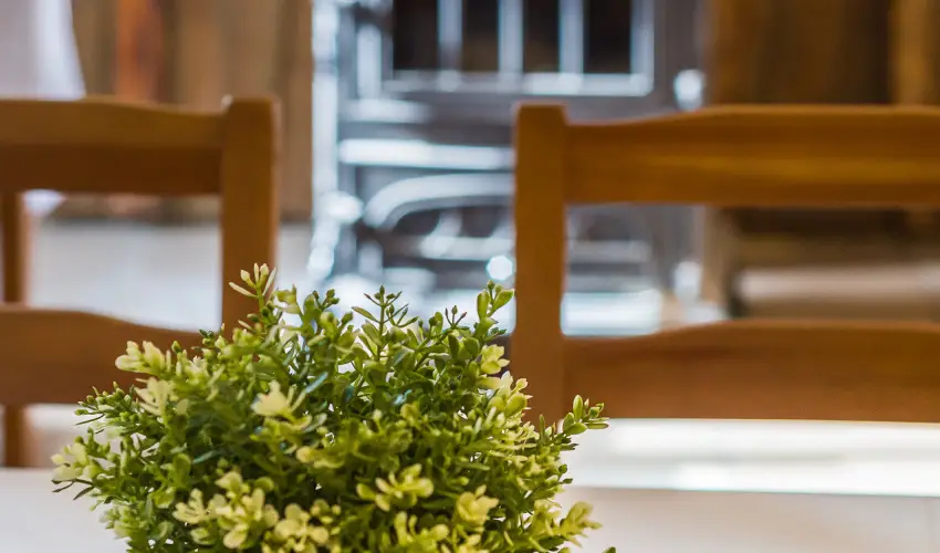 Lipicai Hotel Szilvsvrad - Kedvezmnyes r csaldok rszreak reggelis elltssal (1 jtl)