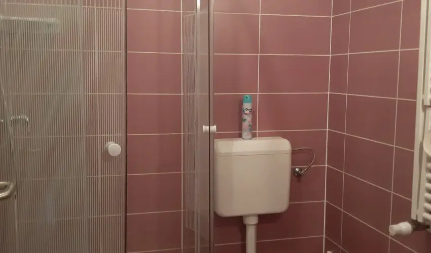 Margar�ta Apartmanh�z Bog�cs - Kedvezm�nyes �r csal�dok r�sz�reak reggelis ell�t�ssal (1 �jt�l)