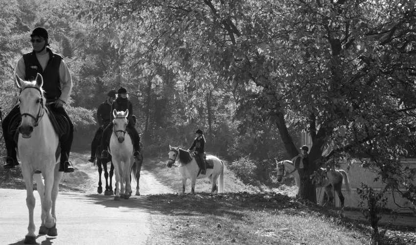Mtyus Udvarhz Kengyel Fogad Eger - Kedvezmnyes r csaldok rszreak reggelivel (1 jtl)