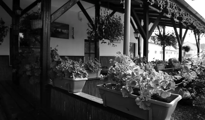 Mtyus Udvarhz Kengyel Fogad Eger - Kedvezmnyes r csaldok rszreak reggelivel (1 jtl)