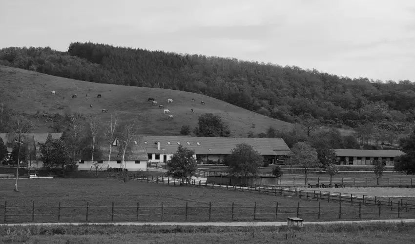Mtyus Udvarhz Kengyel Fogad Eger - Kedvezmnyes r csaldok rszreak reggelivel (1 jtl)