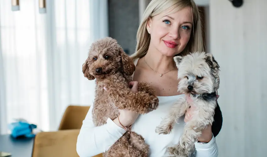 Mercure Tokaj Center Tokaj - Kedvezmnyes r csaldok rszreak flpanzival (1 jtl)