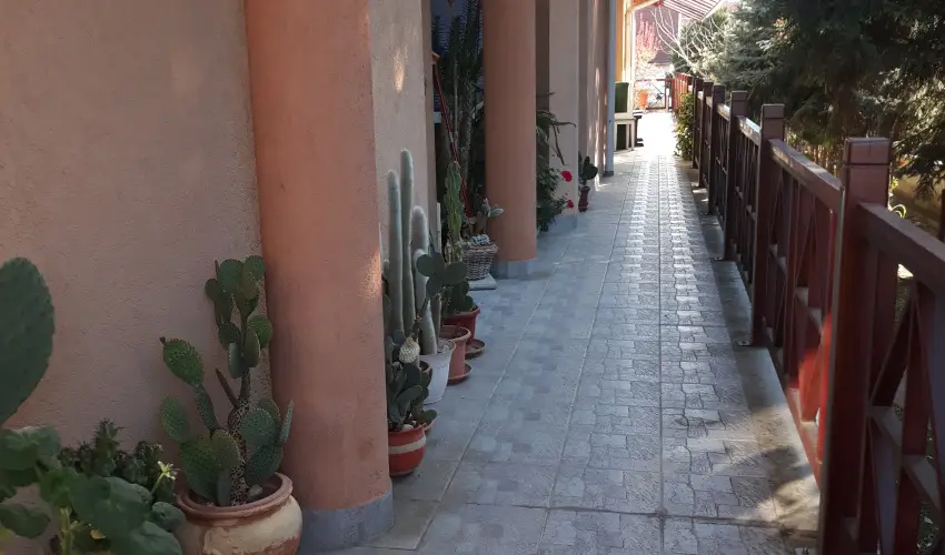 Napsugr Kenzy Lux Apartman Vendghzak Hajdszoboszl - Pihens Hajdszoboszln