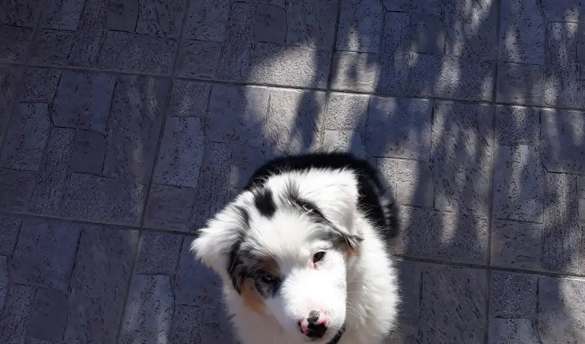 Napsugr Kenzy Lux Apartman Vendghzak Hajdszoboszl - Pihens Hajdszoboszln