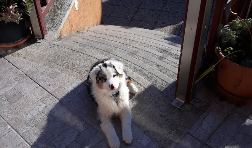 Napsugr Kenzy Lux Apartman Vendghzak Hajdszoboszl - Pihens Hajdszoboszln