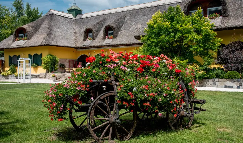 Nyerges Hotel Term�l Monor - Kedvezm�nyes �r csal�dok r�sz�re reggelivel (1 �jt�l)